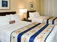 SpringHill Suites by Marriott - Tampa Brandon