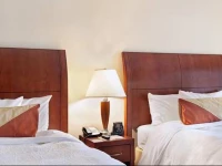 Hilton Garden Inn Tysons Corner