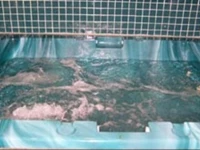 Springfield Inn Wichita