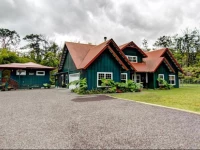 Volcano Dancing Ferns