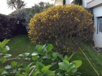 Chambre double bord de mer Arcachon