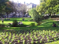 au coeur du centre ville