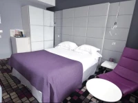 Kyriad Prestige Dijon Centre