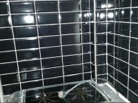 ApparthotelDijonfoch