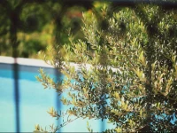 Apartment Bonheur & BohГЁme