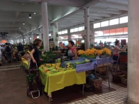 Appartement avec jardin