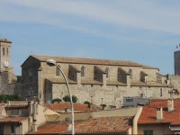 ACCI Cannes Les Yuccas