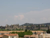 Les Balcons De La CitГ© - Appartement Le Saint Germain