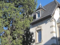 Appartement Colmar Centre Le 4