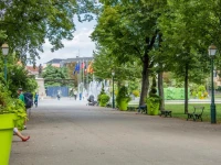 Grand studio Colmar Centre