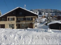 Chalet Le Starfu