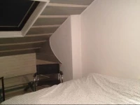 Location Courbevoie vue Tour Eiffel