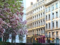 Hotel des Celestins 3*