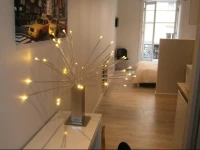 Appartements Bellecour - Lyon Cocoon