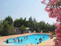 Camping Plateau Des Chasses