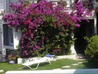 Chambre dhГґtes Habitation Bougainville