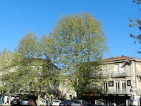 Montpellier Central Studio