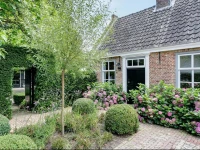 B&B Van Gogh Cottage