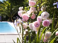 RГ©sidence Ogliastrello