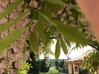 Mas de la colline des roses