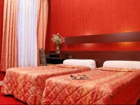 CamГ©lia International