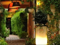 Les Patios du Marais 1