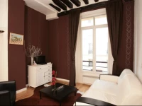 Marais One-bedroom Apartment (303)