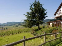 Le Clos Saint-Vincent