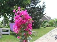 Gite De La Route Du Vin