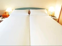 ibis Reims Centre Gare