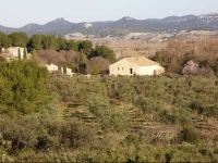 Tasteful Spacious Provencal Retreat