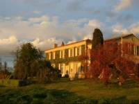 Les Belles Perdrix de Troplong Mondot