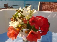 Kastelo Apartments 2*