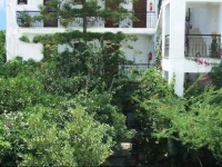 Fotinos House Skiathos