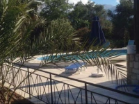 Saint Basil Olive Grove