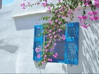 Purple Flower Villa 3*