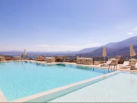 Olive Holly Ground - Morfi Village