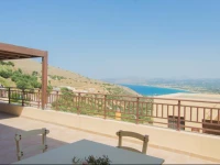 Carnation - Morfi Village