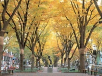 Bansuitei Ikoiso Ryokan 3*