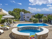 Villa Plumeria Flower