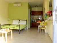 The Seasons of Nickolas