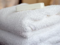 Nyborggade Apartment