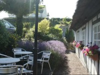 Lyng Dal Hotel og Restaurant