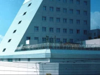 Fukui Palace Hotel 4*