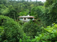 Spring and Valley View