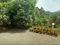 Camel Back Home Stay