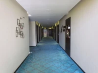 Hotel Pine Spring Srinagar Wazir Bagh 3*