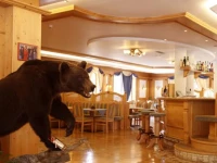 Chalet All Imperatore 4*