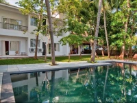 Frangipani On The River