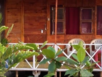 Bridge N Tunnel Patnem